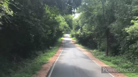 Bike Ride in jungle road