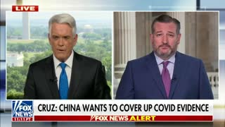 Ted Cruz BLASTS Media For Covering Up For China Over Covid Outbreak