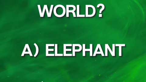 ❓Can You Answer The Question❓#14