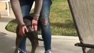 A little booty slap