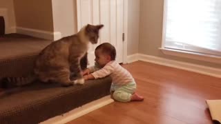 Baby is playing and cheering with his cat