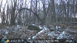Trail cam back by the spring next to the 30 ac