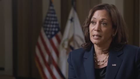 Kamala Harris Talks To The Vice President About The 2024 Election