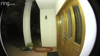 Orbe entering house caught on tape!