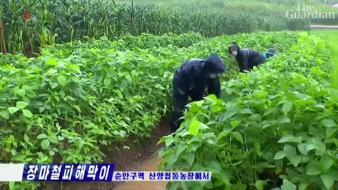 Thousands evacuate as North Korea floods damage homes and crops