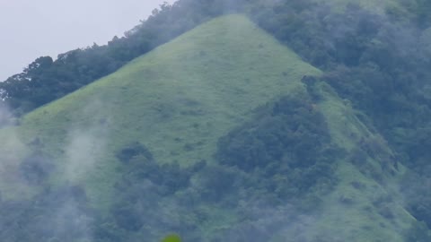 green view Palukachi mala | Palukachi hills