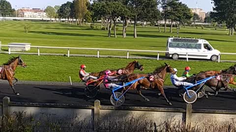 Horse Race in France