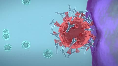 COVID-19 Vaccines Types in 3D Animation