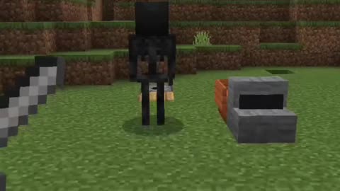 Evolution of Wither Skeleton || #minecraft