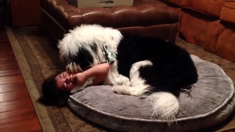 Emotional Dog Won’t Stop Giving Wet Kisses To A Ticklish Little Girl