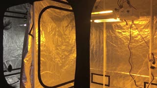 LightRail Grow Tent