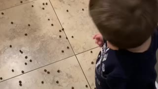 Toddler learning to feed the dog