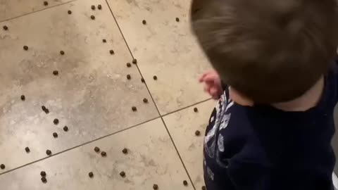 Toddler learning to feed the dog
