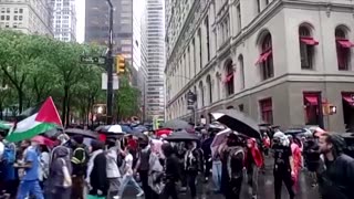 Protests in NY after Israeli strike on Rafah camp