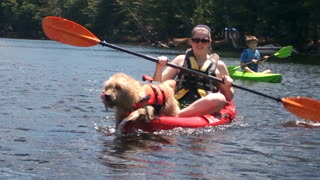 Talented Dog Paddles Kayak with Paws