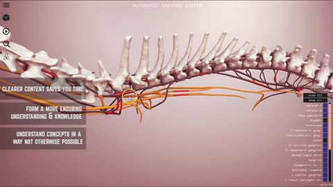 Join our beta - 3D Veterinary Anatomy, IVALA