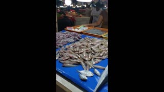 Dino D-Family Man in the Philippines shopping at Lanighan for fish