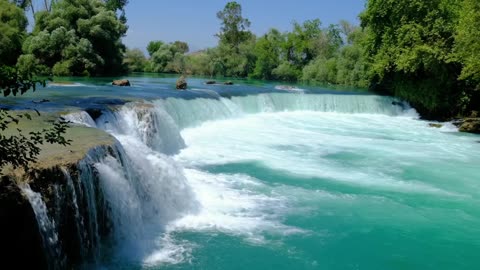 Live From Waterfall Beautiful Sound of Nature, Fish Play