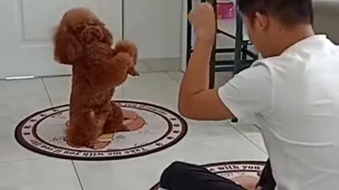 Petting a cute dog