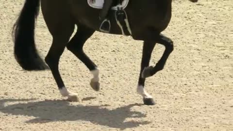 Isabell werth wins historic 14th olympic equestrian medal paris olympics nbc sports