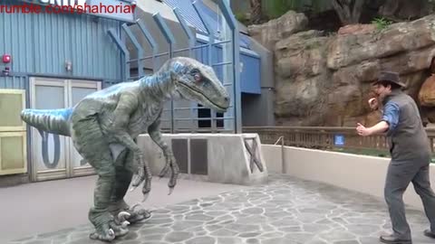 Raptor Encounter with Blue Tango in Jurassic World at Universal Studios Hollywood