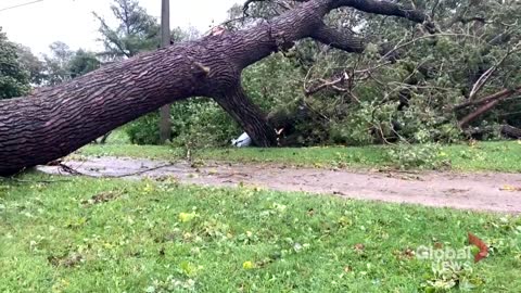 Storm Fiona: Flooding and damage in southeastern New Brunswick