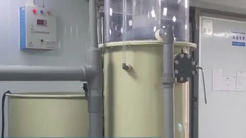 Live sturgeon holding system