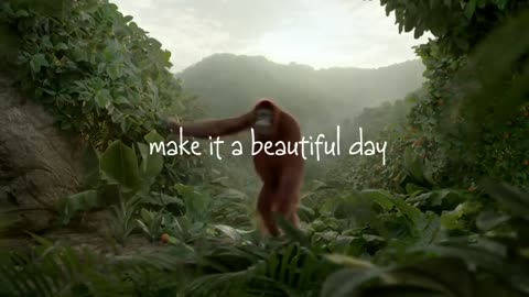 Funny orangutan has the best dance move