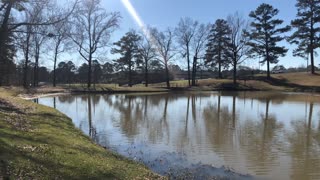 A pan across the pond