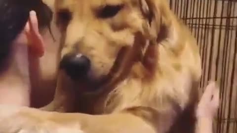 This dog loves to hug the girl