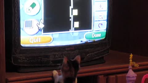 Cat attempts to pounce Wii Mouse on TV