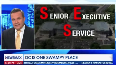 DC is one Swampy place