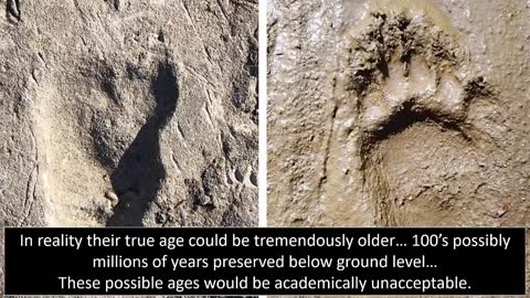 Human Prints Found In 2.6 Billion Yr Old Limestone👣