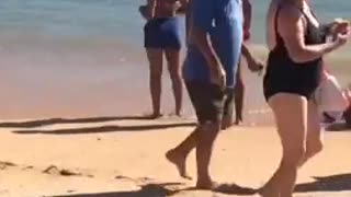 Dog climbs on top of owner while they are walking in the beach