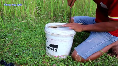 Simple Wild Cat Trap - Wild Cat Trap Using Plastic container