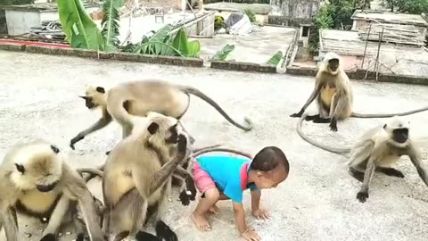 Little baby play with monkey
