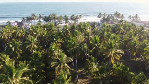 Brazil northeast beach