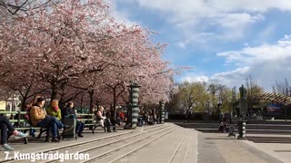 Top 10 FREE Things in Stockholm Budget Travel Guide