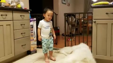 Toddler Baby J with Great Pyrenees 2