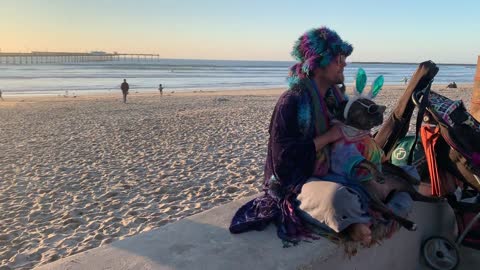Hippy Man and His Dog on Beach