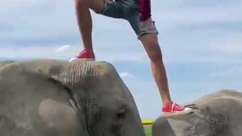 The Amazing Elephant Whisperer