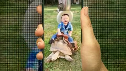 Funny baby and animals playing at the Zoo