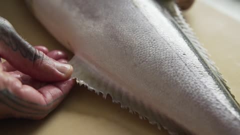 How to fillet a YELLOWTAIL for SUSHI