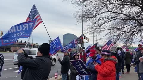 Stop the Steal! Schaumburg, IL, 11/29/20