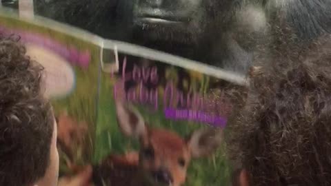 Gorilla reads book with 8 year old