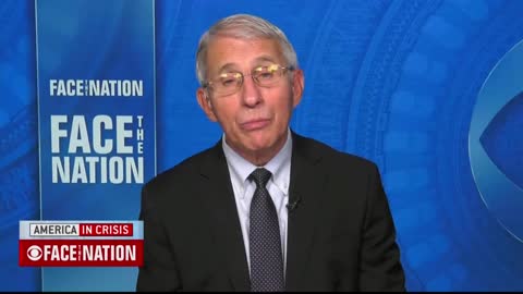 Fauci Says ‘Too Soon’ to Know if Americans Should 'Gather for Christmas'