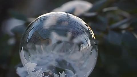 When life gives you freezing temperatures, make ice bubbles! 🤣 Tag someone who needs to see this!👇