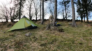 Lightweight trekking pole tent. Speedlapse GoPro