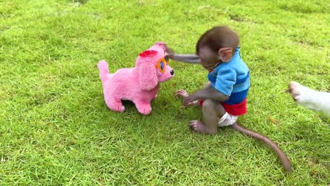 Monkey Baby makes the baby doll go to the toilet and Eats Ice Cream with puppy at the pool