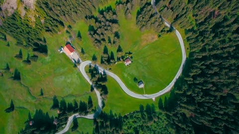 Stunning View of an Eagle eye - Relaxing - No Sounds